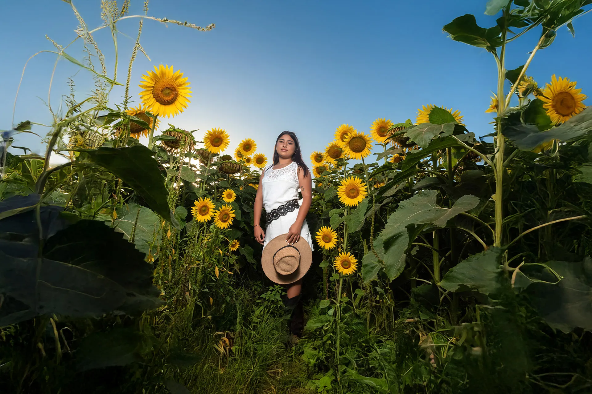 Book pre 15 en Rosario